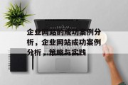企业网站的成功案例分析，企业网站成功案例分析，策略与实践