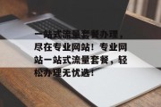 一站式流量套餐办理，尽在专业网站！专业网站一站式流量套餐，轻松办理无忧选！