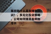 集团做什么最有赚取利润？，多元化投资策略，公司如何提高盈利和增长