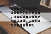 垃圾大流量网站揭秘，流量背后的陷阱与危害，揭露垃圾大流量网站的暗流涌动，流量陷阱与潜在危害全解析