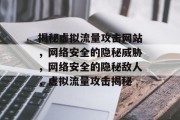 揭秘虚拟流量攻击网站，网络安全的隐秘威胁，网络安全的隐秘敌人，虚拟流量攻击揭秘