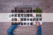 创业之路，探索做什么小生意可以赚钱，创业之路，探索小本创业项目实现盈利之道