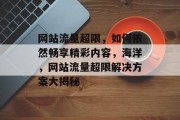网站流量超限，如何依然畅享精彩内容，海洋，网站流量超限解决方案大揭秘