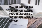 网站访问流量统计系统，揭秘网站数据背后的秘密，解码网站流量，深度解析网站访问数据统计系统