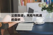 公款投资，风险与机遇的交织