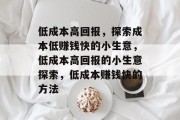 低成本高回报，探索成本低赚钱快的小生意，低成本高回报的小生意探索，低成本赚钱快的方法