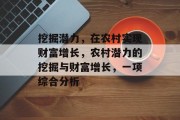 挖掘潜力,在农村实现财富增长,农村潜力的挖掘与财富增长,一项综合分析