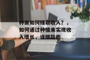 种田如何赚取收入？，如何通过种植来实现收入增长，详细指南