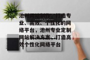 池州网站制作，打造专业、高效、个性化的网络平台，池州专业定制网站解决方案，打造高效个性化网络平台