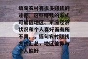 缅甸农村有很多赚钱的途径。这些赚钱的方式可能因地区、家庭经济状况和个人喜好而有所不同。，缅甸农村赚钱方式汇总，地区差异与个人偏好