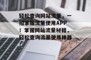 轻松查询网站流量，一招掌握流量使用APP！掌握网站流量秘籍，轻松查询流量使用神器！