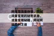 网站靠流量挣钱，揭秘流量变现的秘密武器，流量变现秘籍，揭秘网站盈利之道