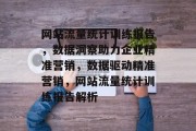 网站流量统计训练报告，数据洞察助力企业精准营销，数据驱动精准营销，网站流量统计训练报告解析