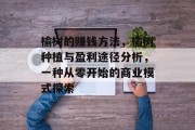 榆树的赚钱方法,榆树种植与盈利途径分析,一种从零开始的商业模式探索