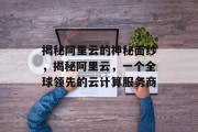 揭秘阿里云的神秘面纱，揭秘阿里云，一个全球领先的云计算服务商
