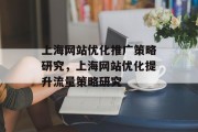 上海网站优化推广策略研究，上海网站优化提升流量策略研究