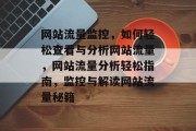 网站流量监控，如何轻松查看与分析网站流量，网站流量分析轻松指南，监控与解读网站流量秘籍