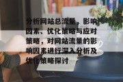 分析网站总流量，影响因素、优化策略与应对策略，对网站流量的影响因素进行深入分析及优化策略探讨