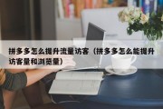 拼多多怎么提升流量访客（拼多多怎么能提升访客量和浏览量）
