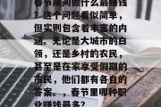 春节期间做什么最赚钱？这个问题看似简单，但实则包含着丰富的内涵。无论是大城市的白领，还是乡村的农民，甚至是在家享受假期的市民，他们都有各自的答案。，春节里哪种职业赚钱最多？