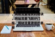 网站流量突破IP量级，揭秘流量增长的秘诀，网站流量飞跃IP门槛，揭秘流量激增的奥秘