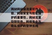 揭秘网站偷流量软件下载，网络安全与隐私保护的重要性，揭秘流量窃取软件，网络安全与隐私保护的警钟长鸣