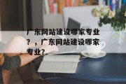 广东网站建设哪家专业？，广东网站建设哪家专业？