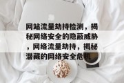 网站流量劫持检测，揭秘网络安全的隐蔽威胁，网络流量劫持，揭秘潜藏的网络安全危机
