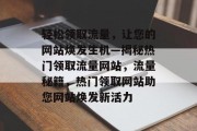 轻松领取流量，让您的网站焕发生机—揭秘热门领取流量网站，流量秘籍，热门领取网站助您网站焕发新活力