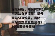 深度解析，如何有效检测网站自然流量，提升网站SEO效果，揭秘网站自然流量检测与SEO效果提升策略