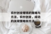 农村创业赚钱的策略与方法，农村创业，成功的关键策略和方法