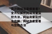 自己网站流量哪里看？全方位解析网站流量监控方法，网站流量监控全攻略，揭秘流量查看与监控方法