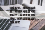 深度解析，对比网站流量，揭秘网站运营背后的秘密，网站流量深度揭秘，解码运营背后的流量秘密