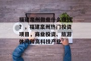 福建泉州做些什么赚钱?,福建泉州热门投资项目,商业投资、旅游休闲和高科技产业