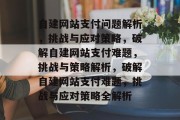自建网站支付问题解析，挑战与应对策略，破解自建网站支付难题，挑战与策略解析，破解自建网站支付难题，挑战与应对策略全解析