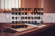 网站遭遇攻击？教你如何查看流量，守护网络安全！网络安全攻略，快速识别网站攻击，守护流量安全