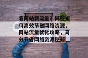 看网站费流量？揭秘如何高效节省网络资源，网站流量优化攻略，高效节省网络资源秘籍