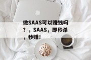 做SAAS可以赚钱吗?,SAAS,即秒杀,秒赚! 做SAAS可以赚钱吗?,SAAS,即秒杀,秒赚!