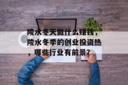 陵水冬天做什么赚钱，陵水冬季的创业投资热，哪些行业有前景？