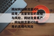揭秘网站刷流量iOS应用，流量背后的真相与风险，揭秘流量黑产，网站刷流量iOS应用的真相与风险