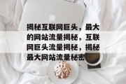揭秘互联网巨头，最大的网站流量揭秘，互联网巨头流量揭秘，揭秘最大网站流量秘密
