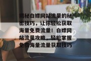 揭秘白嫖网站流量的秘密技巧，让你轻松获取海量免费流量！白嫖网站流量攻略，轻松掌握免费海量流量获取技巧