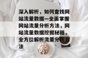 深入解析，如何查找网站流量数据—全面掌握网站流量分析方法，网站流量数据挖掘秘籍，全方位解析流量分析方法