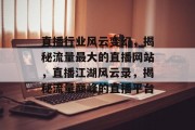 直播行业风云变幻，揭秘流量最大的直播网站，直播江湖风云录，揭秘流量巅峰的直播平台