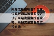 网站流量在哪看？全方位解析网站流量监控方法，网站流量监控全攻略，揭秘流量查看与监控方法