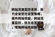 网站流量监控系统，助力企业优化运营策略，提升网站效益，网站流量监控，优化运营策略，增强网站效益新引擎