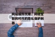 网站插件代理，揭秘互联网时代的隐私保护利器
