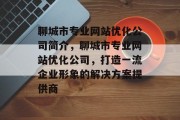 聊城市专业网站优化公司简介，聊城市专业网站优化公司，打造一流企业形象的解决方案提供商