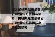 深入解析网站流量查询，UV指标的价值与运用，揭秘网站流量核心，UV指标的价值与高效运用策略