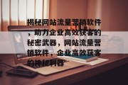 揭秘网站流量营销软件，助力企业高效获客的秘密武器，网站流量营销软件，企业高效获客的神秘利器
